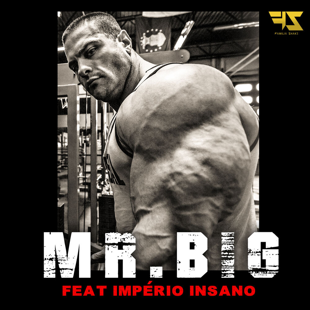 Picture of Mr. Big
