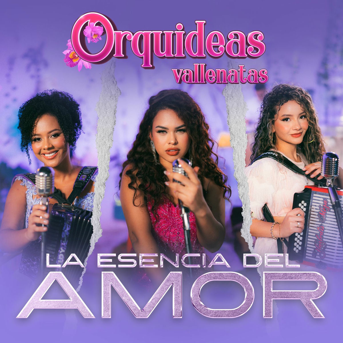 Album cover of La Esencia del amor