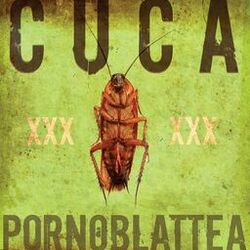 Cover of Pornoblattea