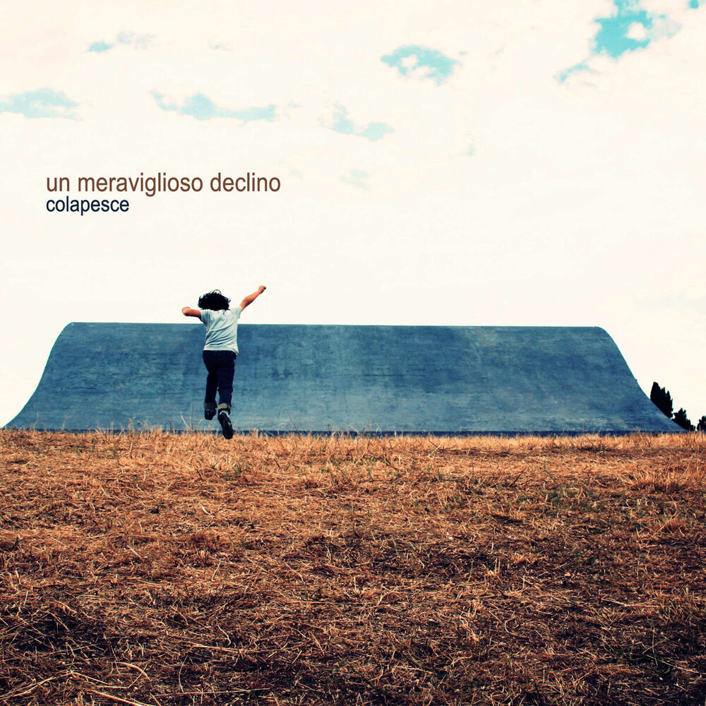 Picture of Un meraviglioso declino