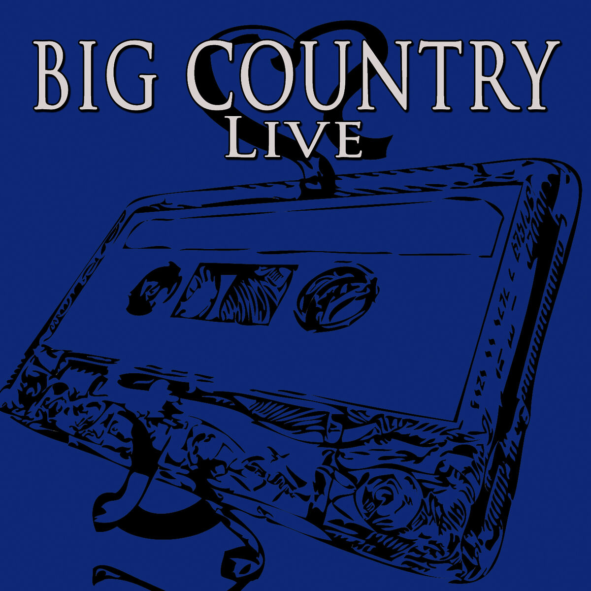 Album cover of In Concert