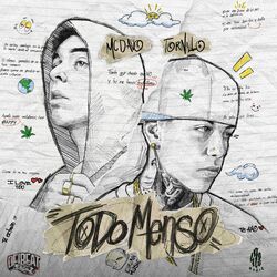 Cover of Todo Menso