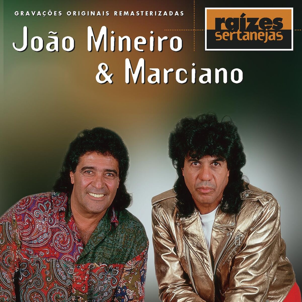 Album cover of Raizes Sertanejas