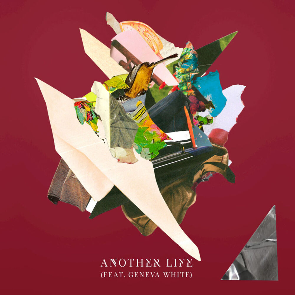 Picture of Another Life