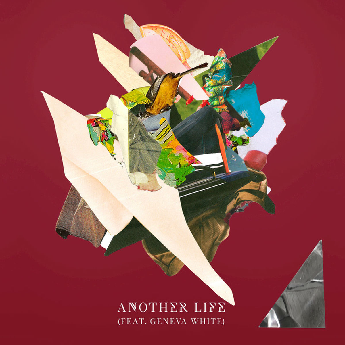 Album cover of Another Life