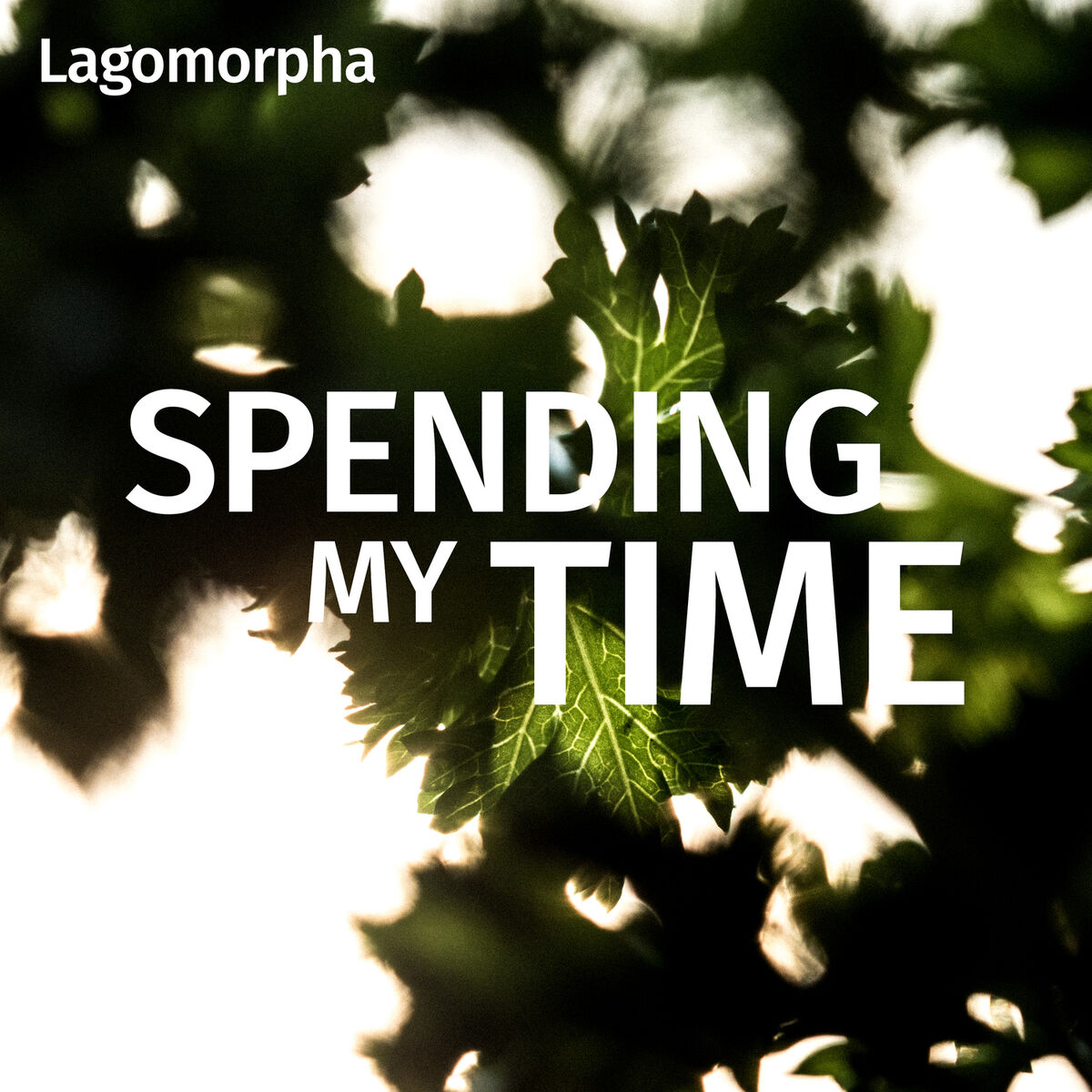 Album cover of Spending My Time