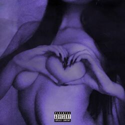 Cover of future