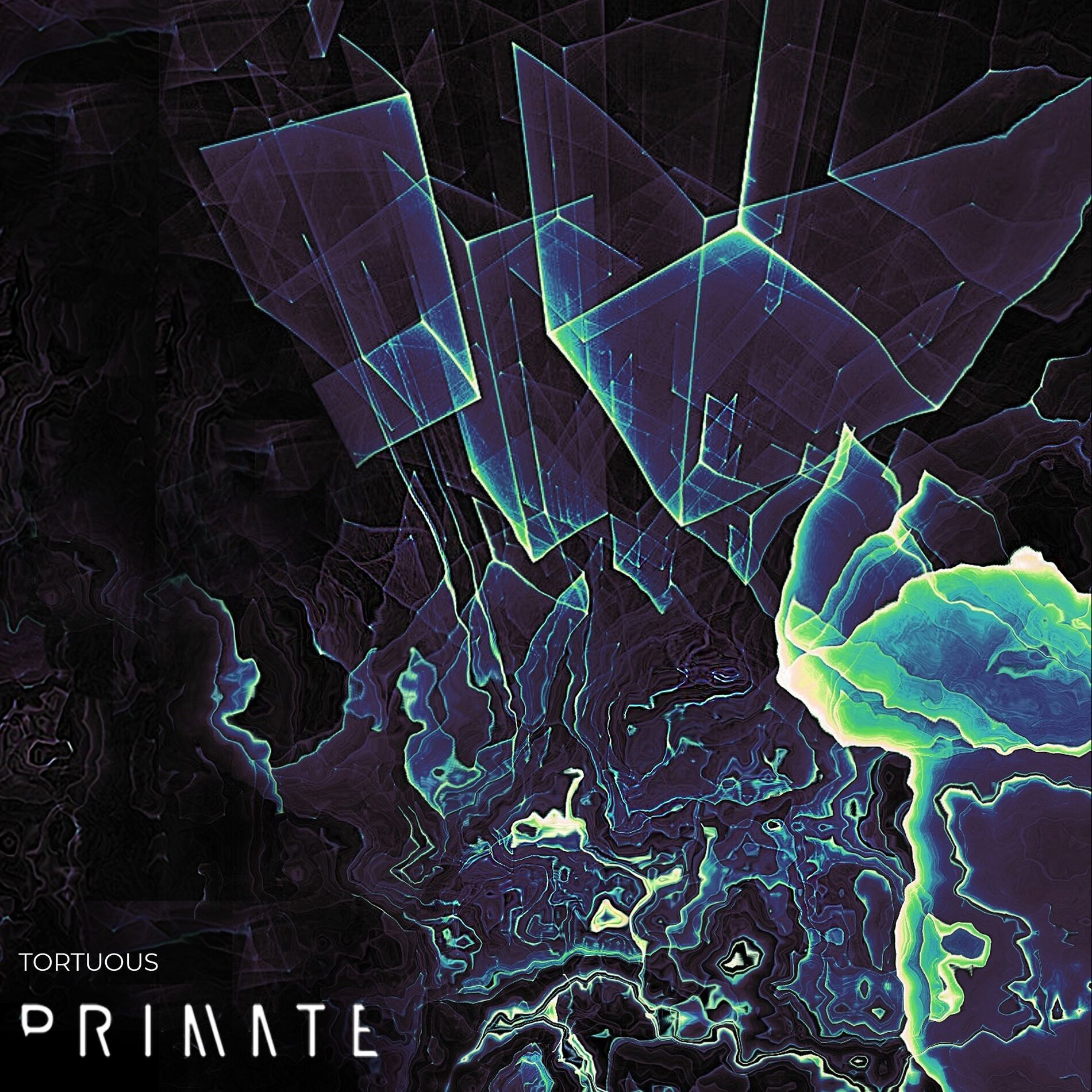 Album cover of Tortuous