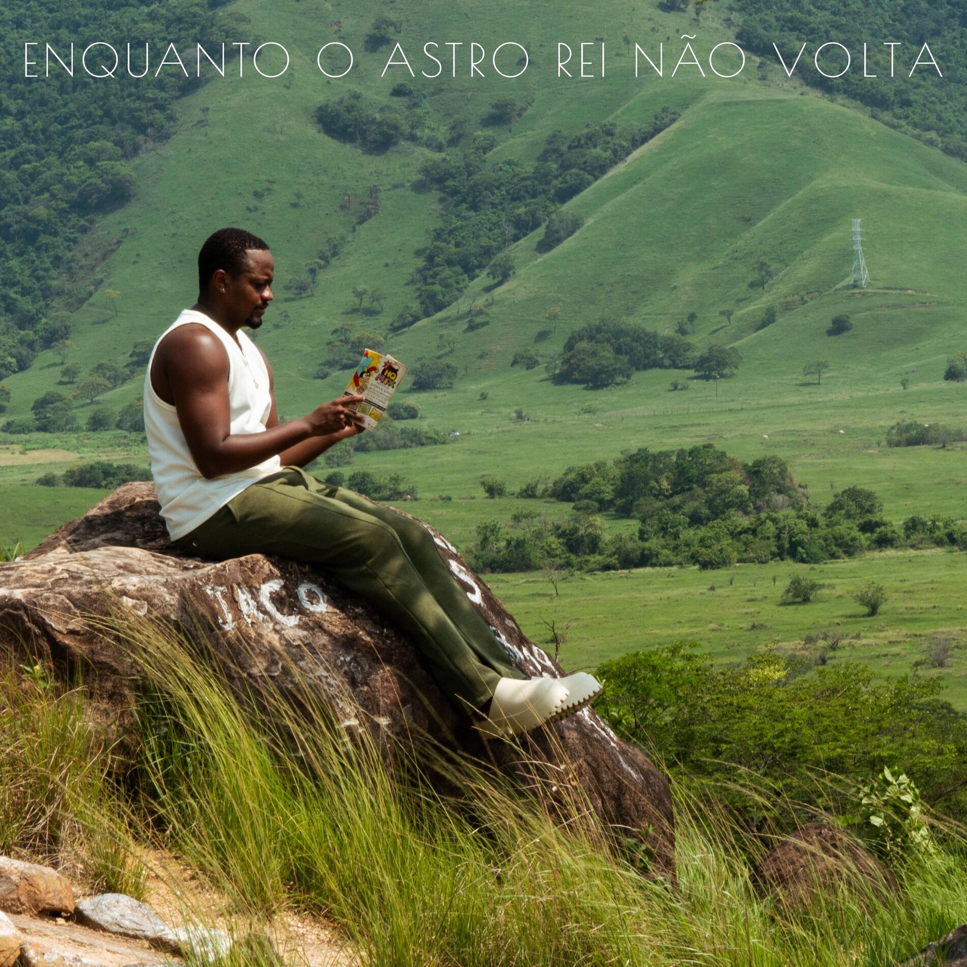 Album cover of Enquanto O Astro Rei Não Volta