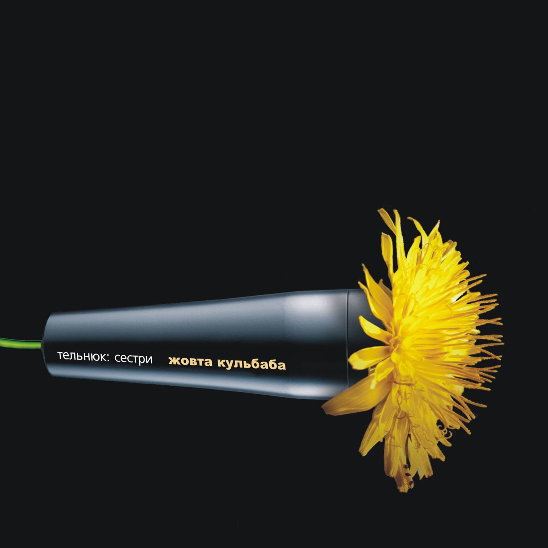 Album cover of Жовта кульбаба