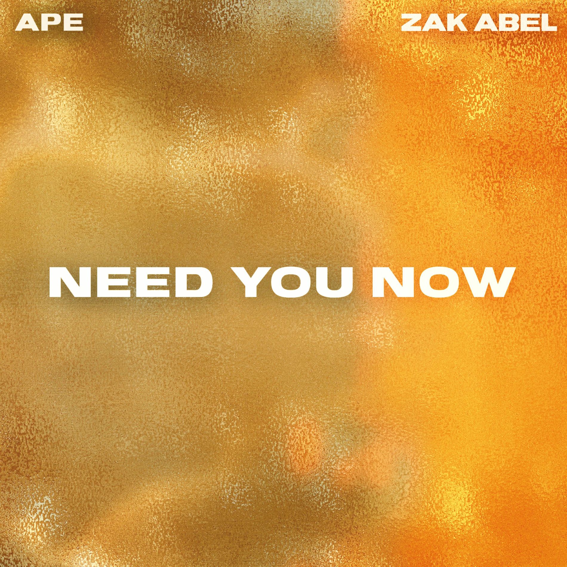 Album cover of Need You Now