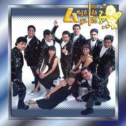 Cover of Una Lluvia De Rosas