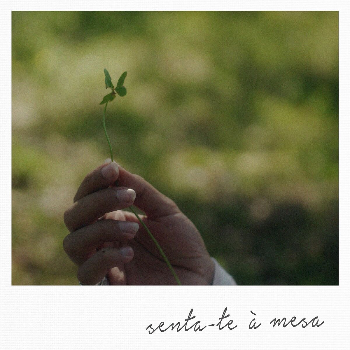 Album cover of Senta-te À Mesa