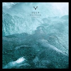 Cover of Sock