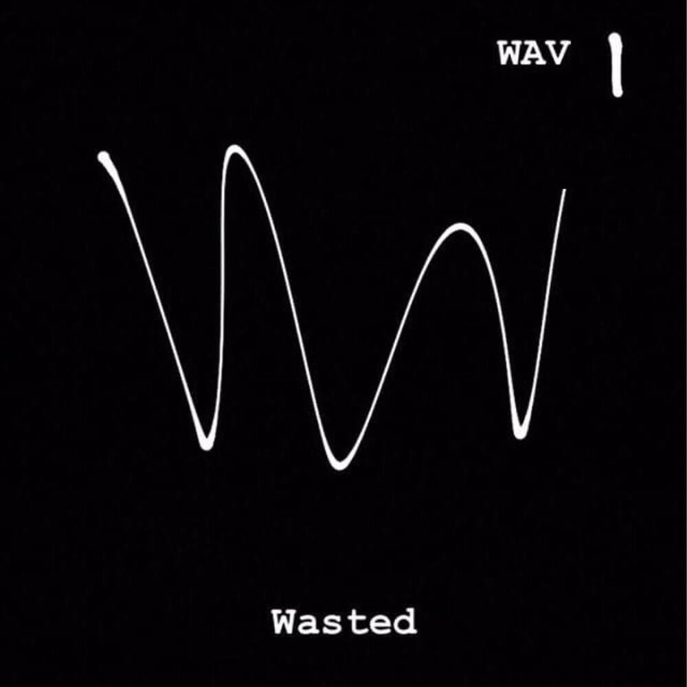 Picture of Wasted