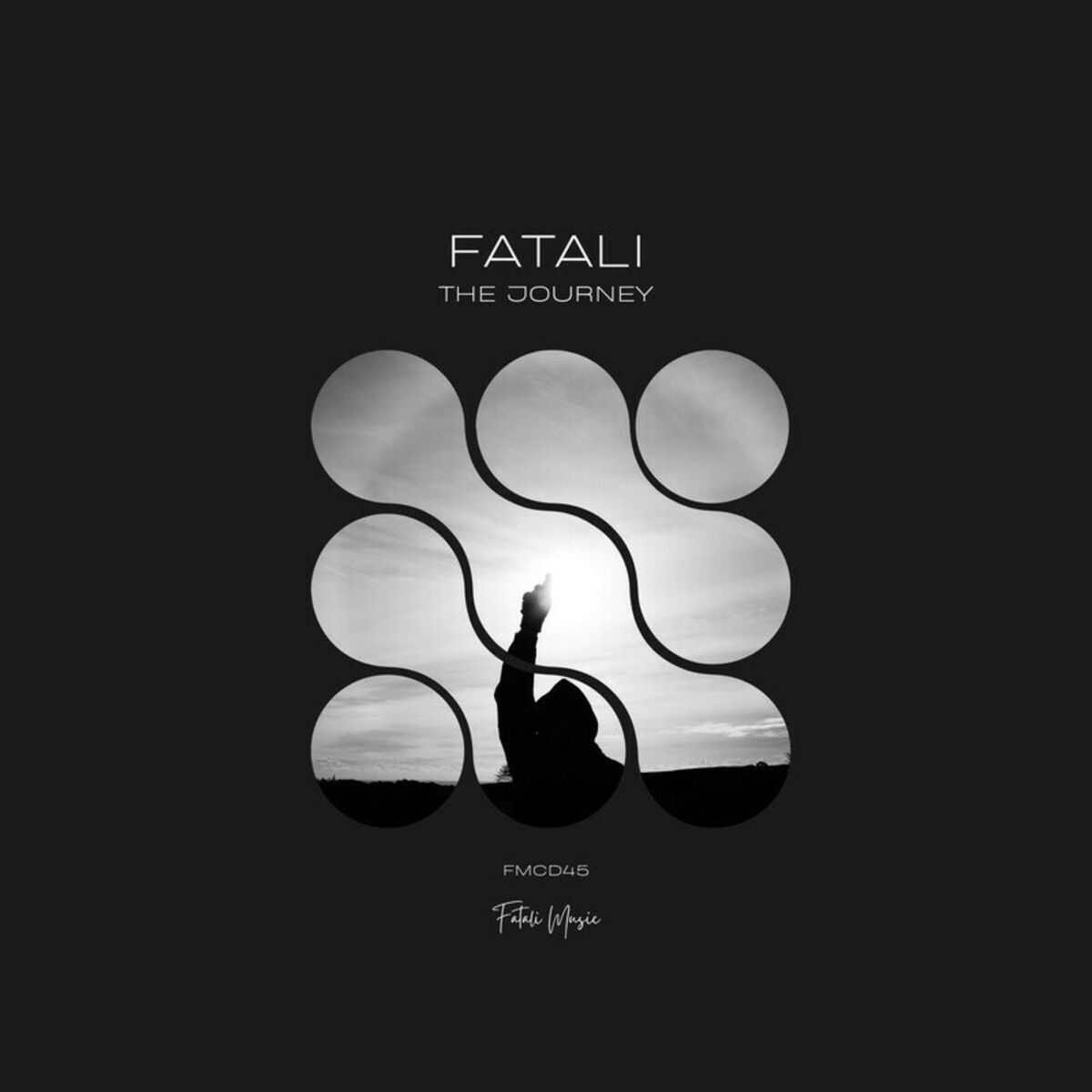 Album cover of The Journey