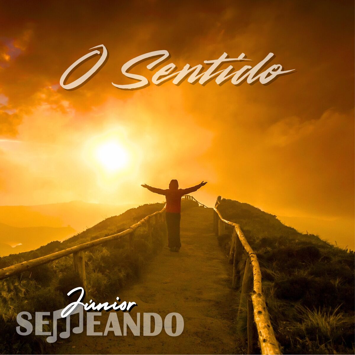 Album cover of O Sentido