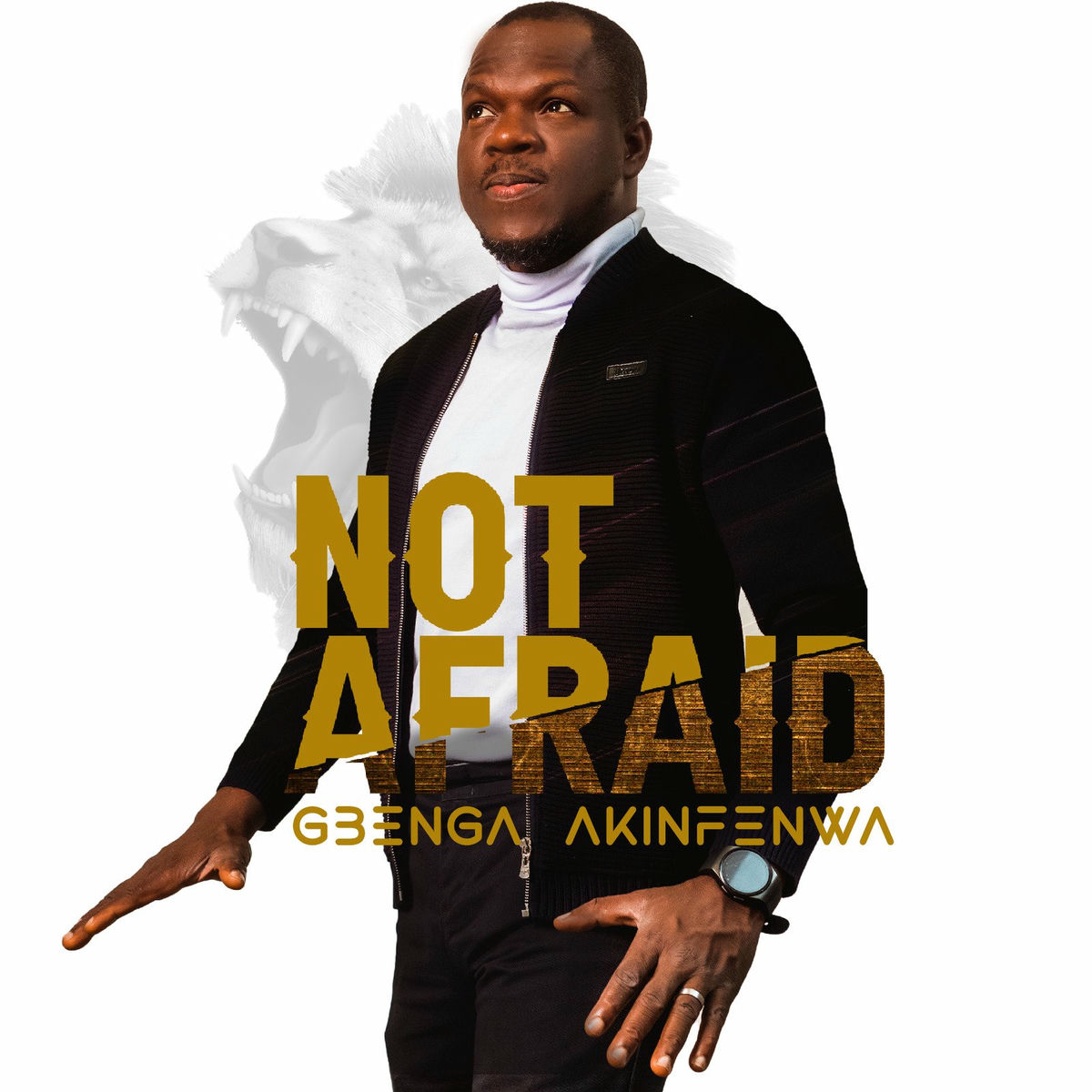 Album cover of Not Afraid