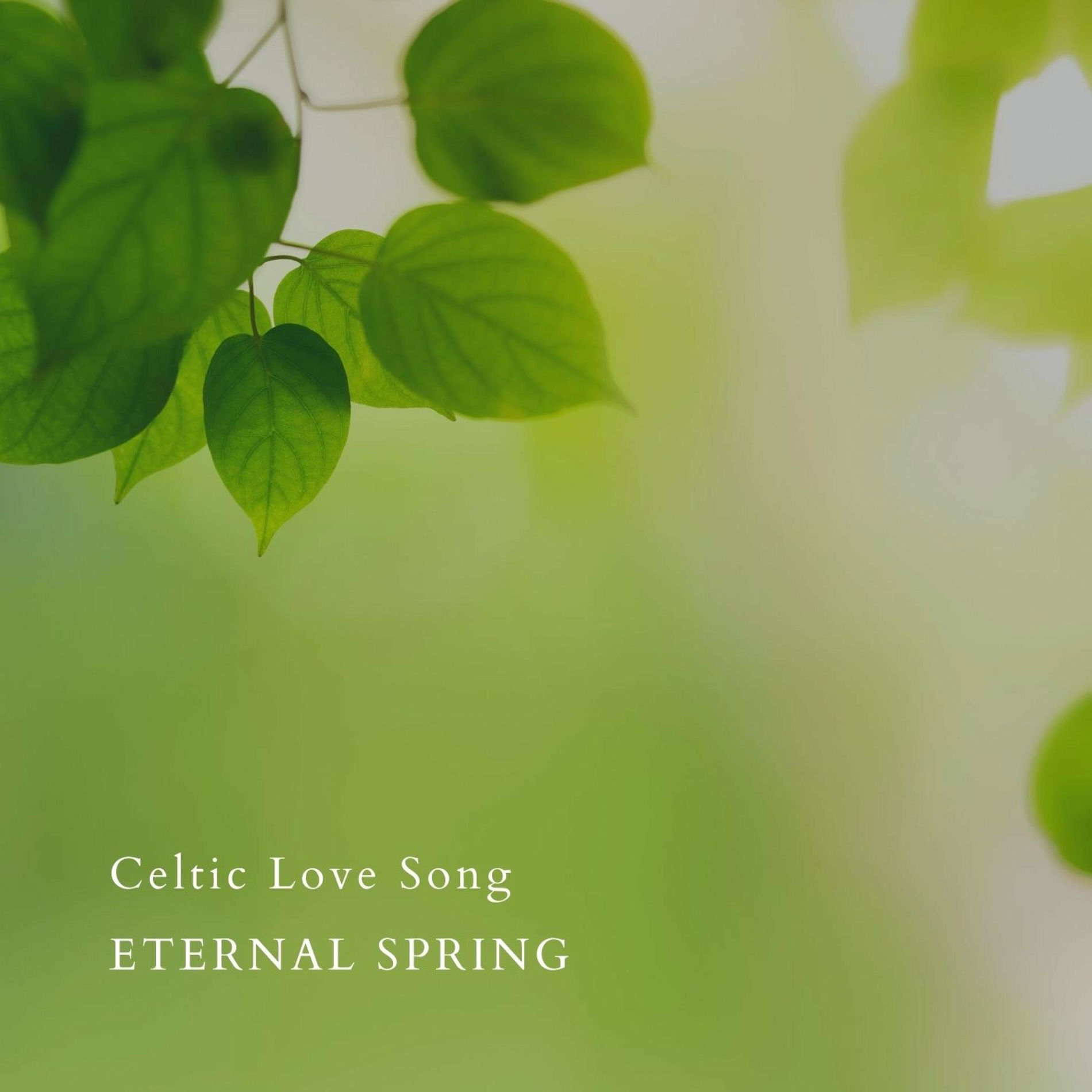 Album cover of Celtic Love Song (Piano Version)