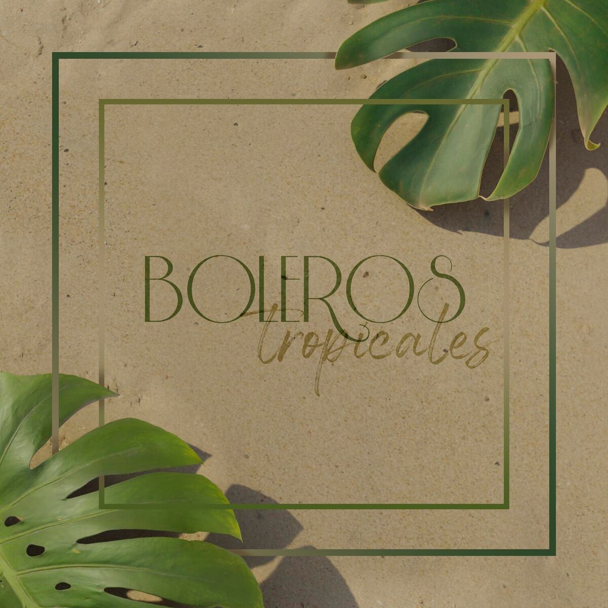 Album cover of Boleros Tropicales