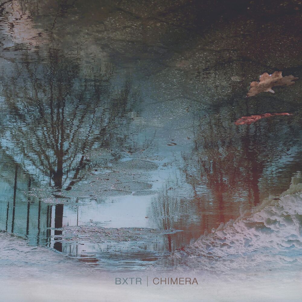 Picture of Chimera