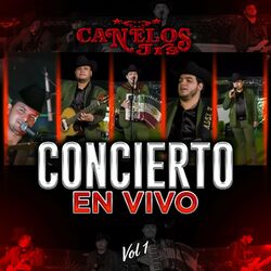 Cover of Concierto En Vivo, Vol. 1