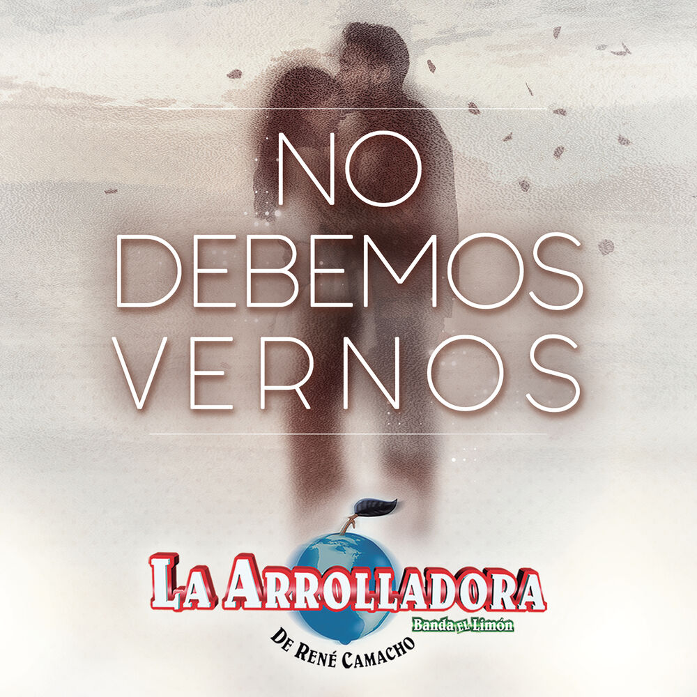 Picture of No Debemos Vernos