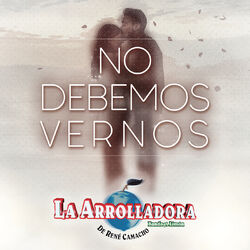 Cover of No Debemos Vernos