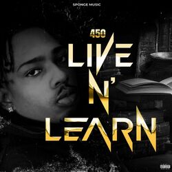 Cover of Live n' Learn