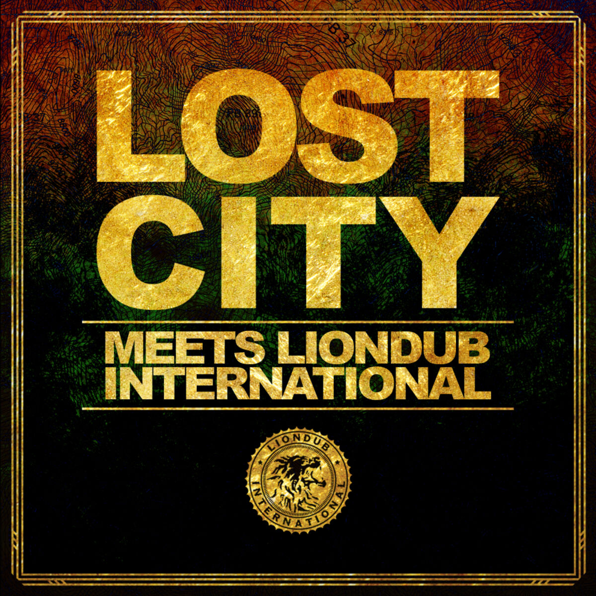 Album cover of Meets Liondub International