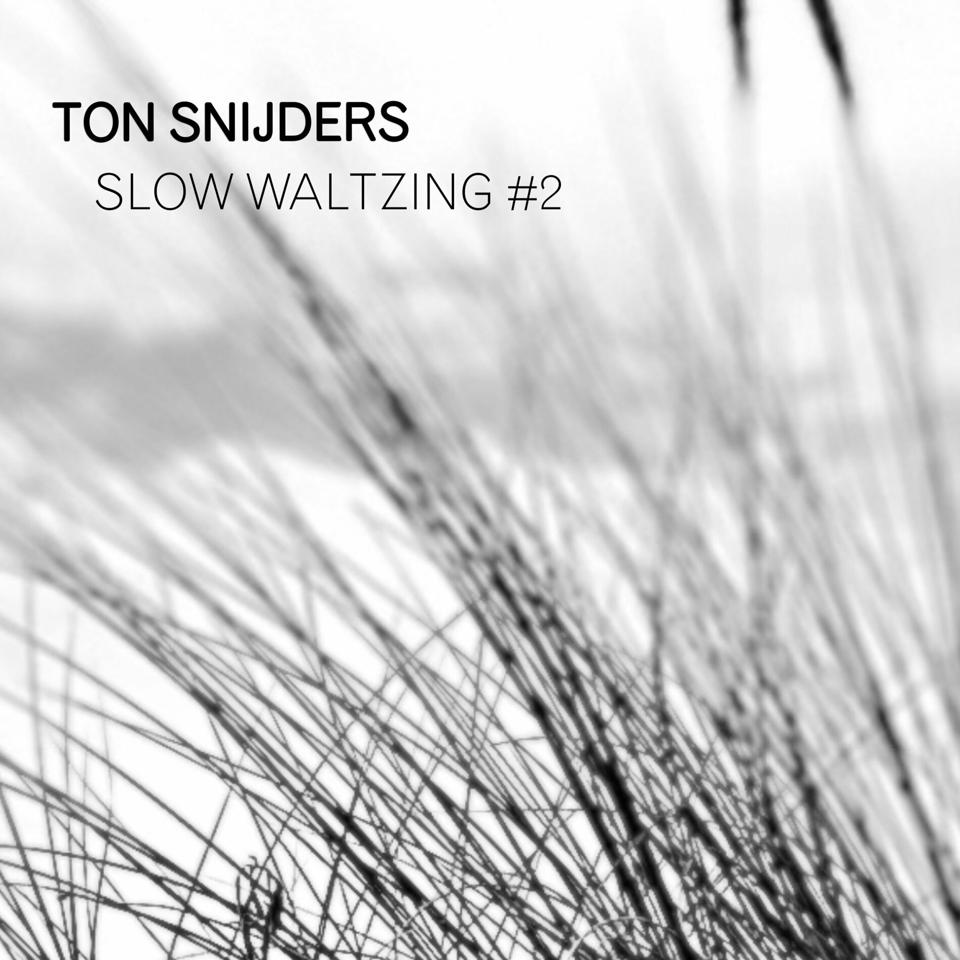 Album cover of Slow Waltzing #2