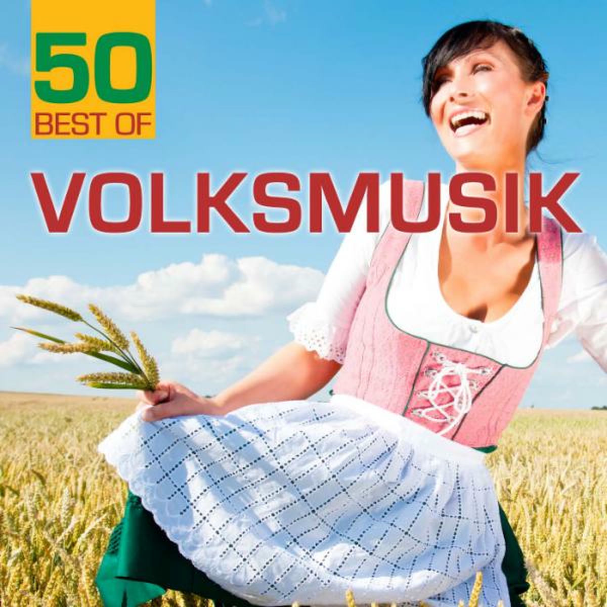 Album cover of Hoch auf dem gelben Wagen