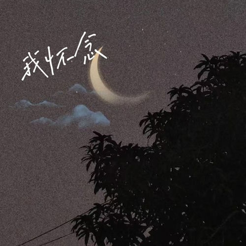 我怀念 (说唱版)