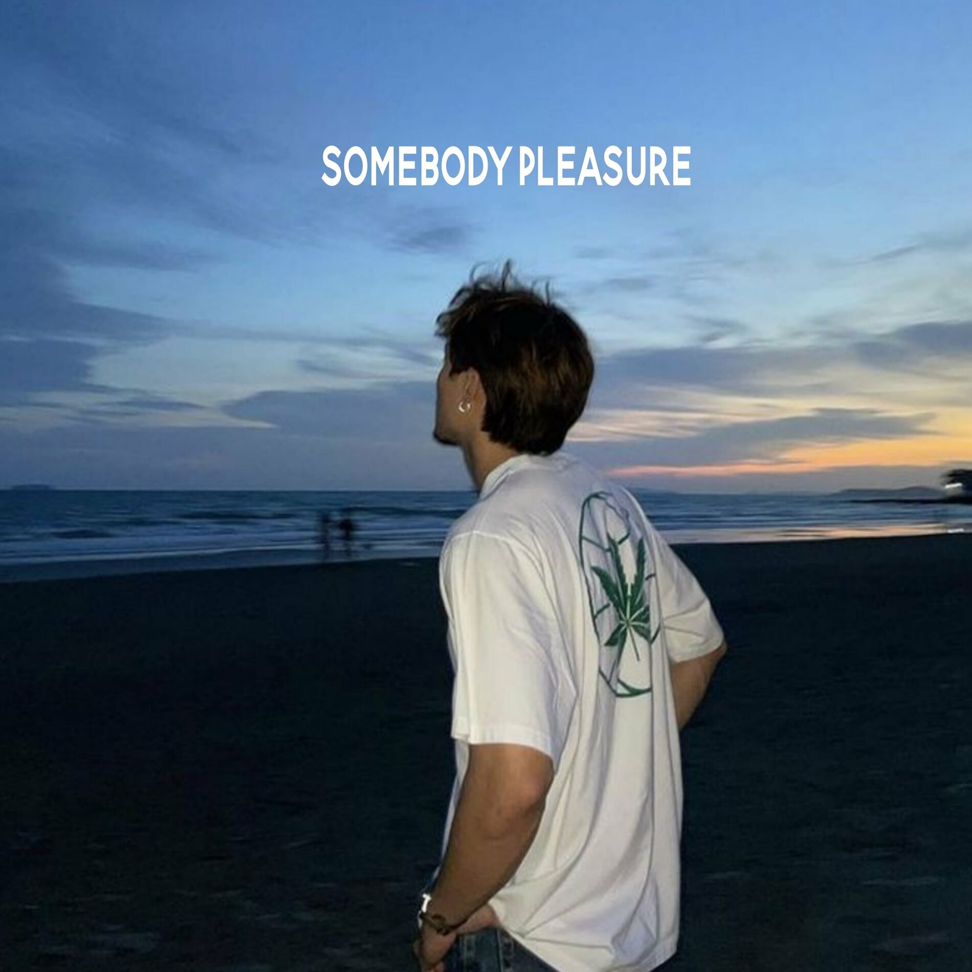 Album cover of Somebody Pleasure