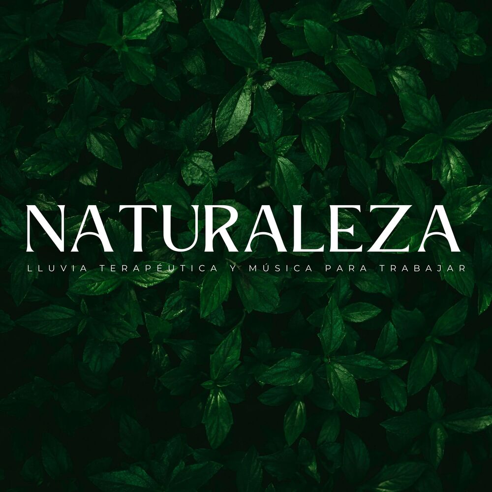 Picture of Naturaleza: Lluvia Terapéutica Y Música Para Trabajar