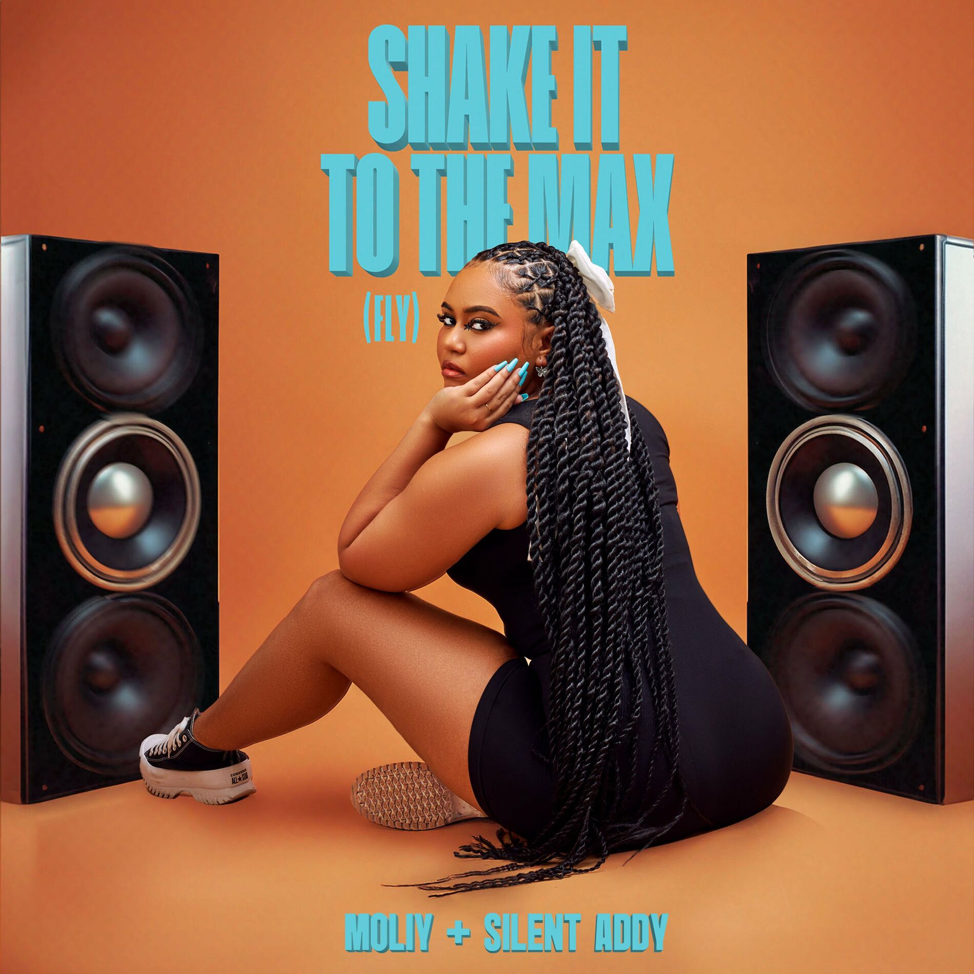 Album cover of Shake It To The Max (FLY)