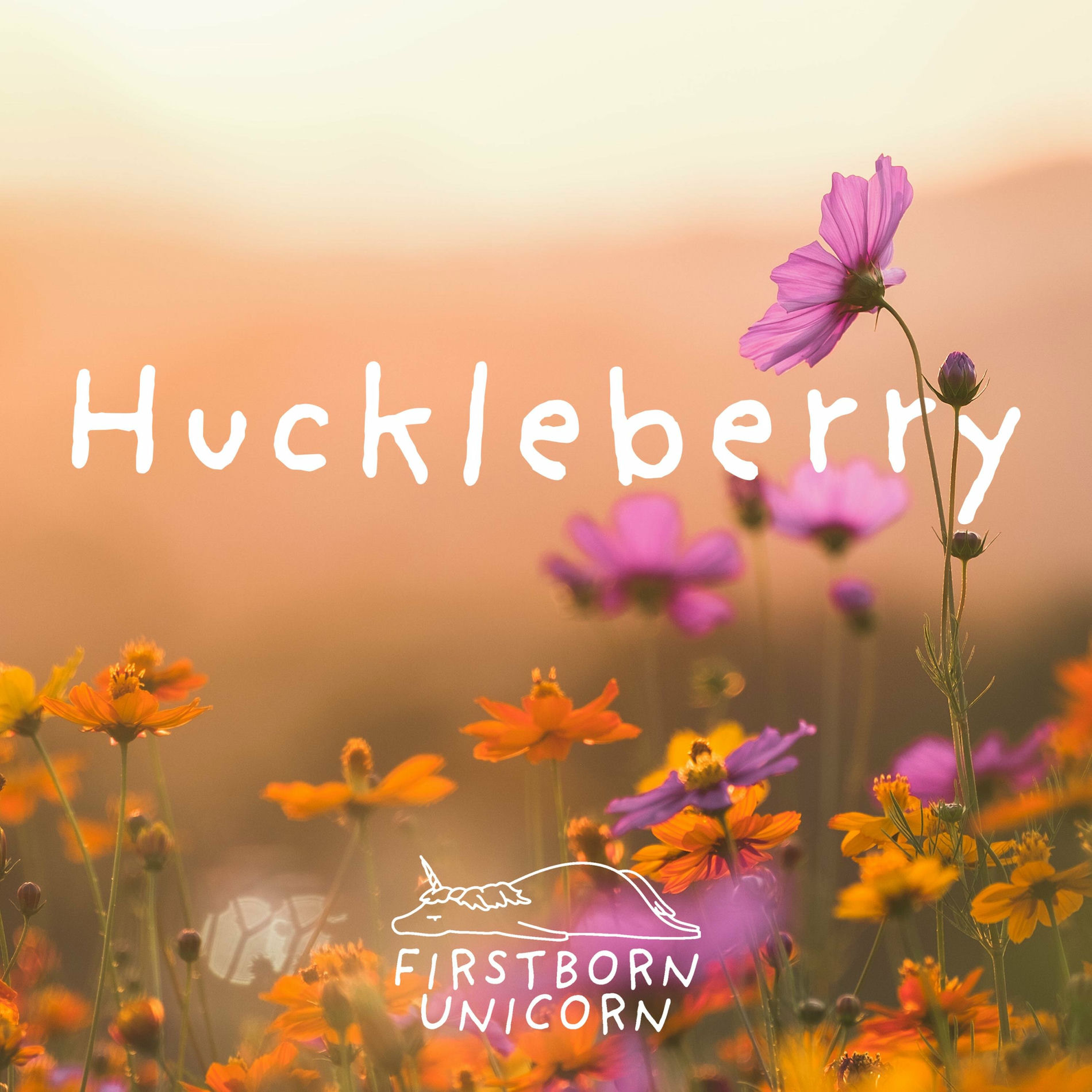 Album cover of Huckleberry