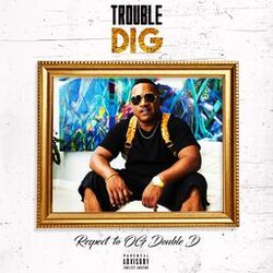Cover of Dig