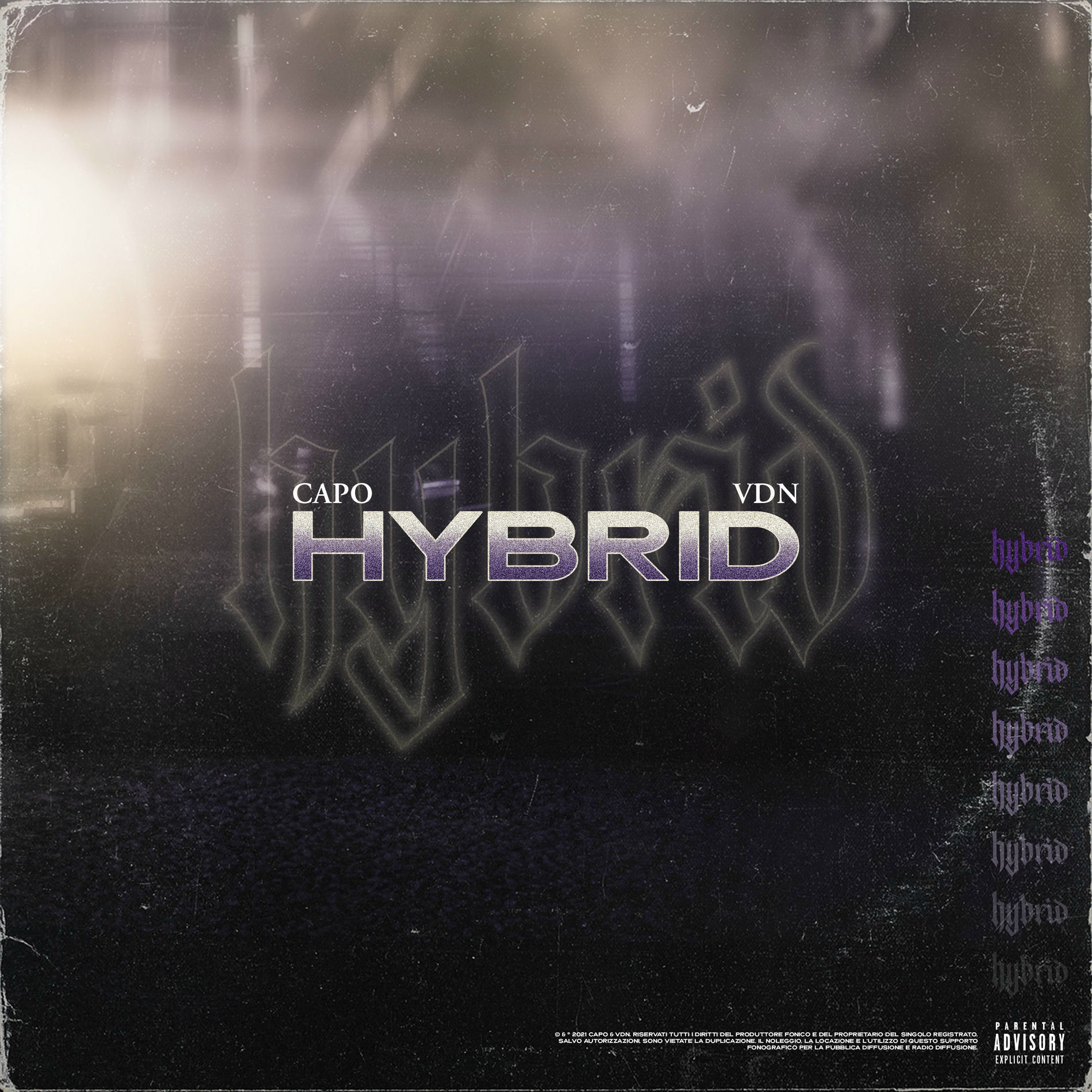 Album cover of Hybrid