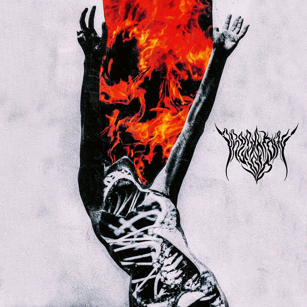 Album cover of Grovel