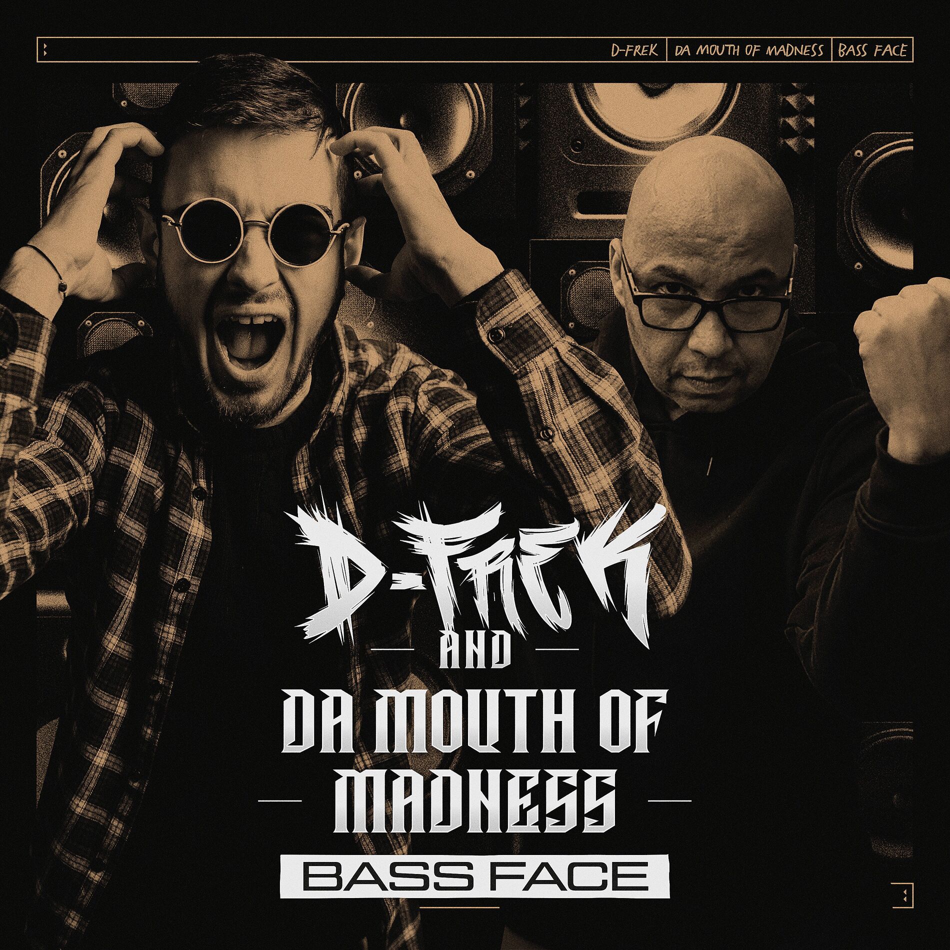 Album cover of Bass Face