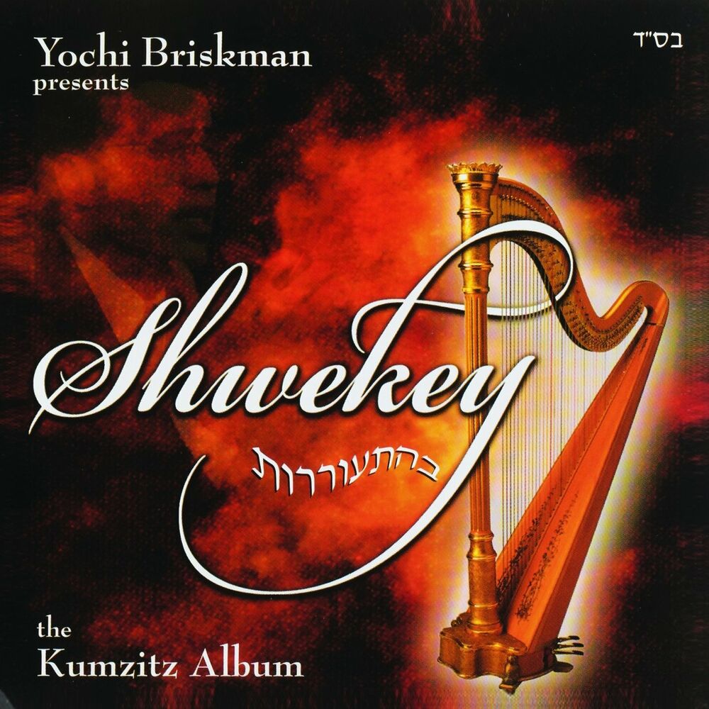 Picture of Shwekey Behitorerut