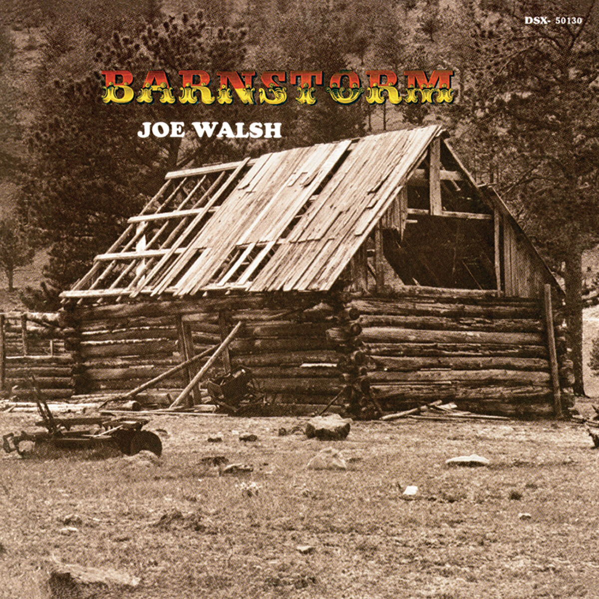 Album cover of Turn To Stone
