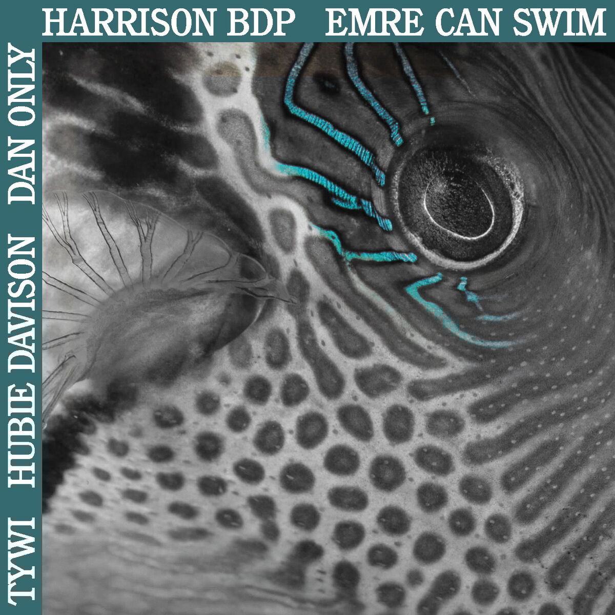 Album cover of Hard to Explain