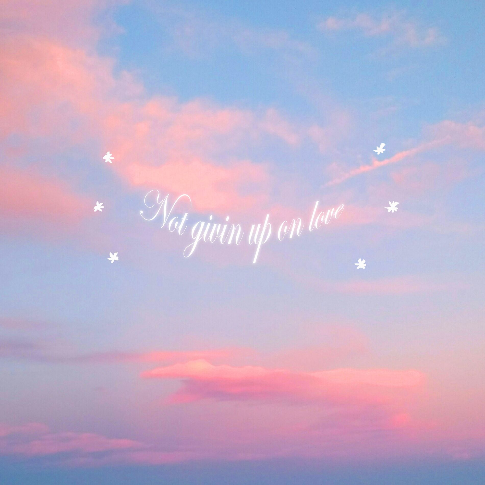 Album cover of not givin up on love