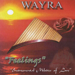 Cover of Feelings