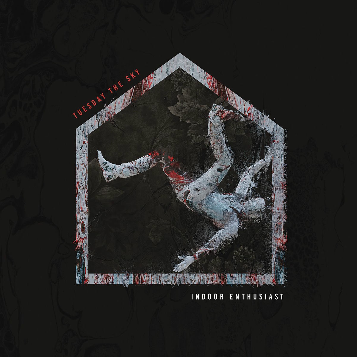 Album cover of Indoor Enthusiast