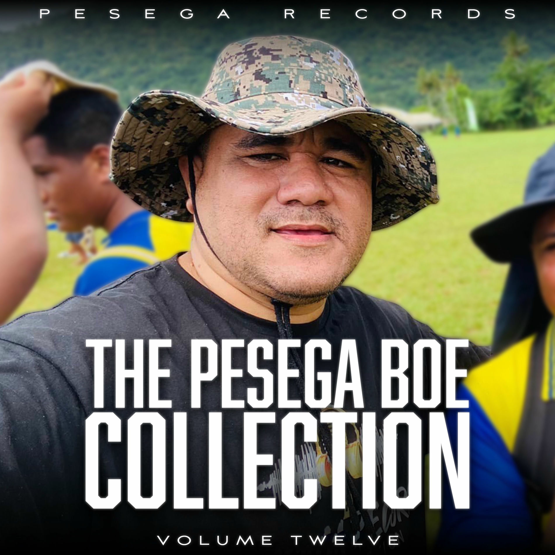 Album cover of The Pesega Collection Vol. 12