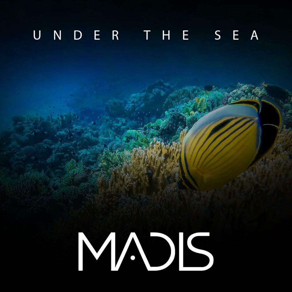 Picture of Under the Sea
