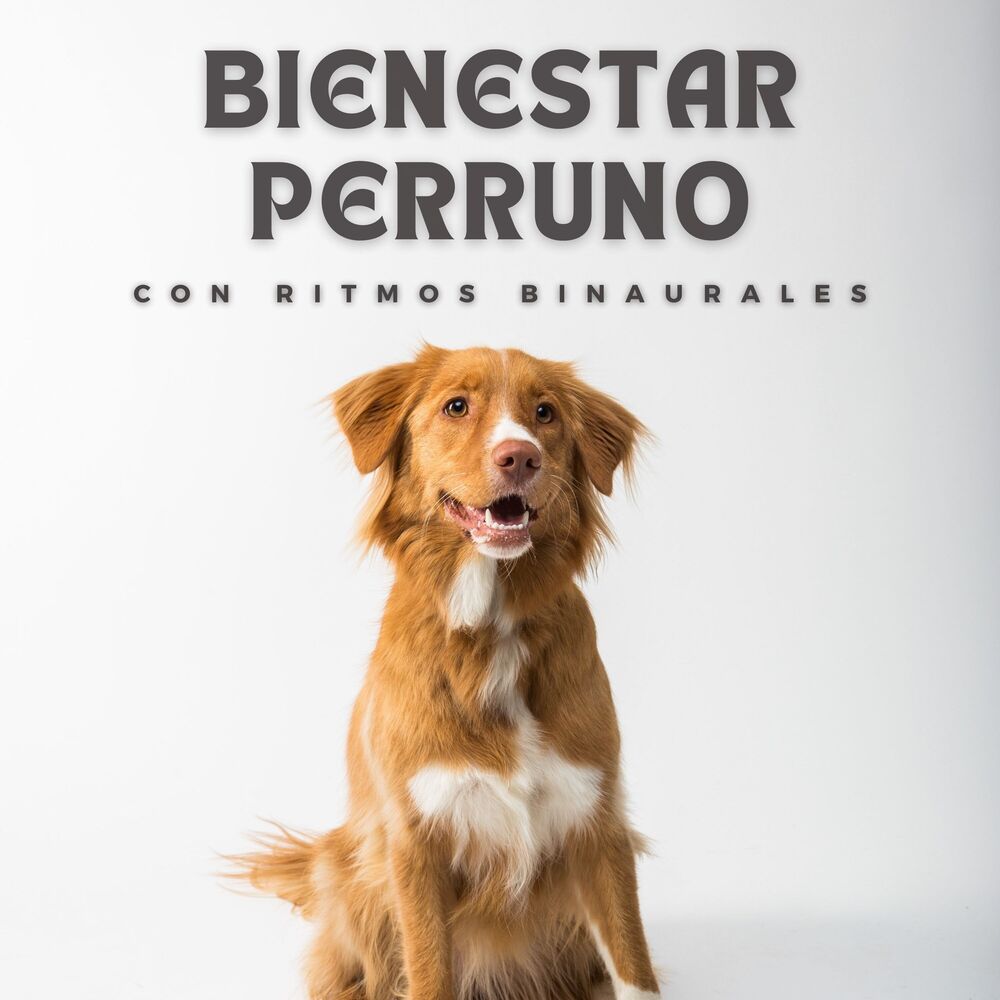 Picture of Bienestar Perruno Con Ritmos Binaurales